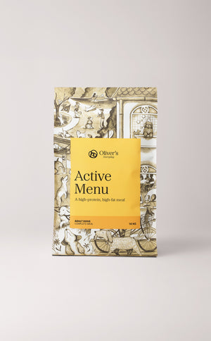ACTIVE MENU