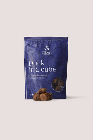DUCK IN A CUBE