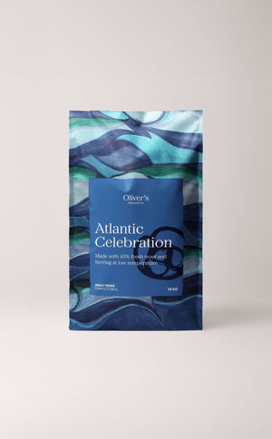 ATLANTIC CELEBRATION